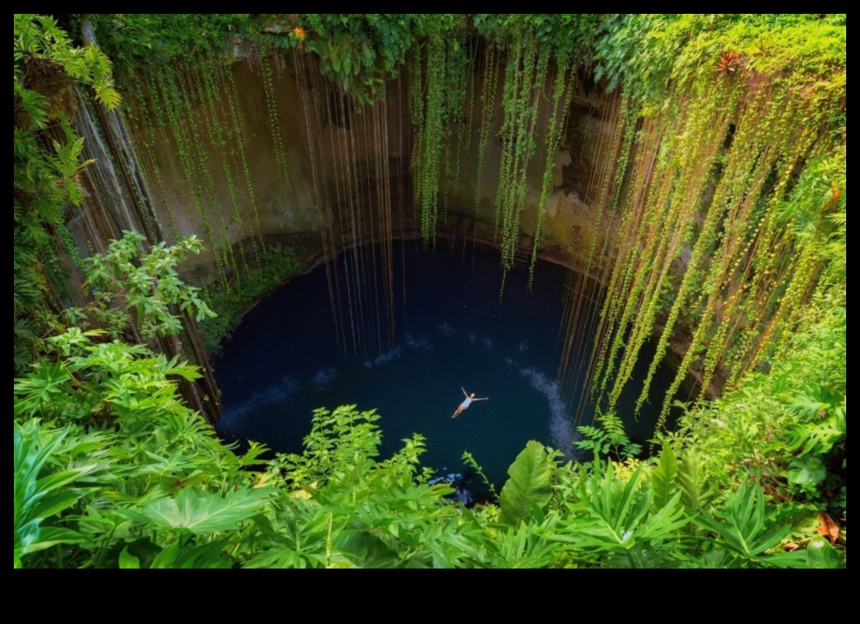 Pocket Paradise Вашият оазис от близки местни атракции в радиус 1 от 50 мили Pocket Paradise: Вашият оазис от близки местни атракции