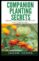 Ботанически хипервръзки Тайните според компаньонното засаждане са разкрити