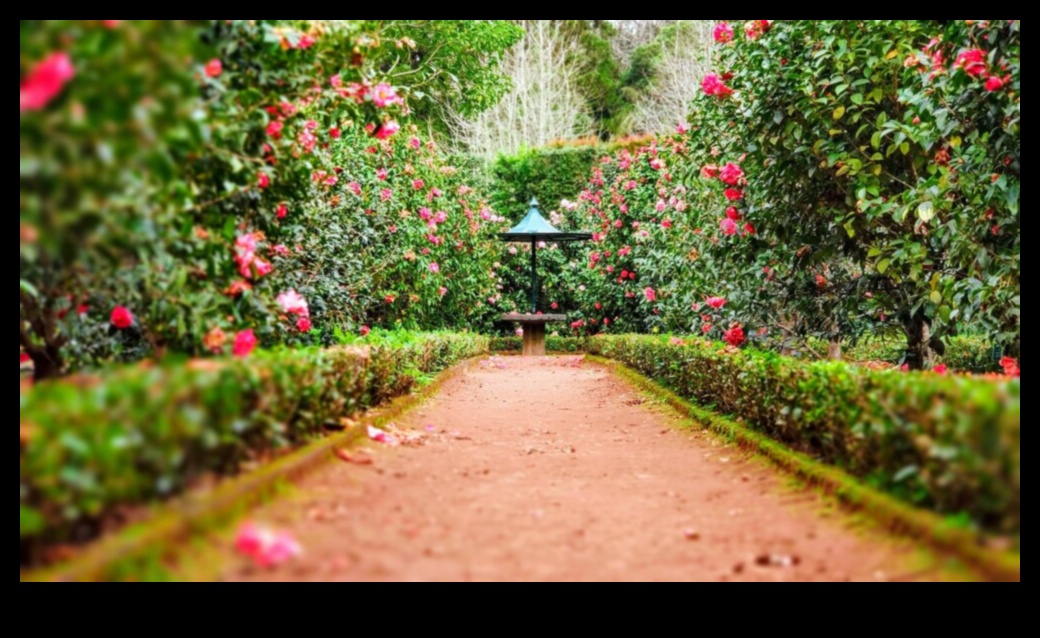 Градинска хармония: Балансиране на красотата и ефикасността в грижите