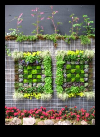 Новобранци новатори Най-добрият начин да процъфтяват на земята според градинските работилници