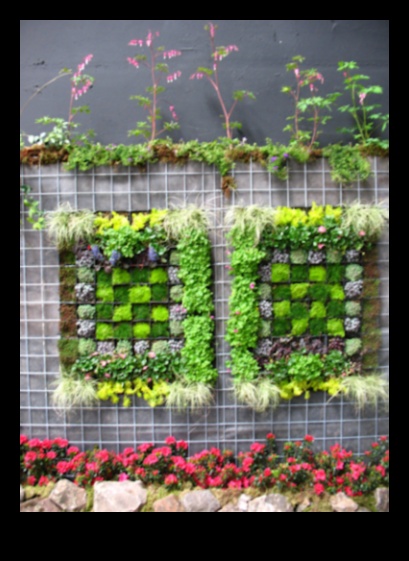 Начинаещи новатори: Разцвет в света на градинските работилници